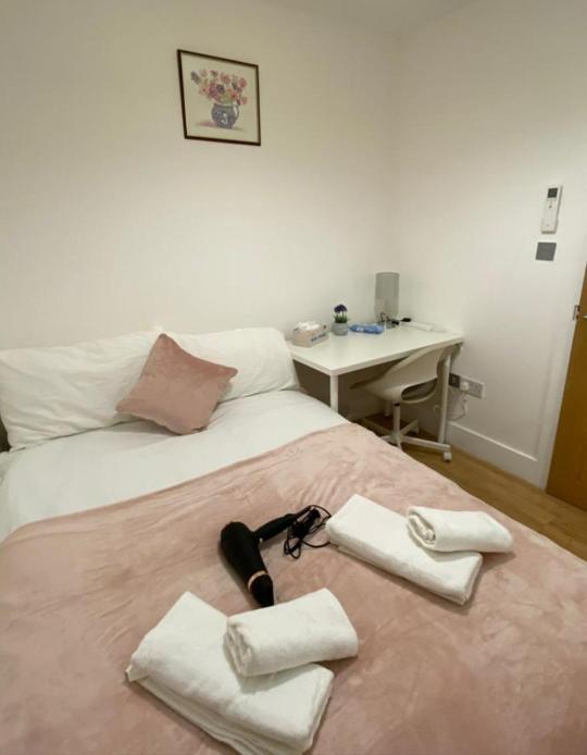 Cosy Private Rooms Near Euston Station, Central Londra Exterior foto